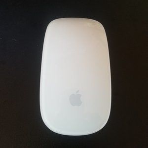 Apple Magic Mouse (MB829LL/A)
